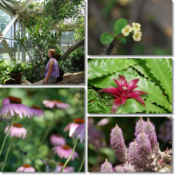 Columbus Franklin Park Conservatory