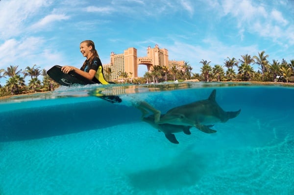 Atlantis - Swimming with the dolphins