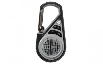 ION Clipster Active Hook