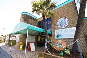 Tybee Island Marine Science Center