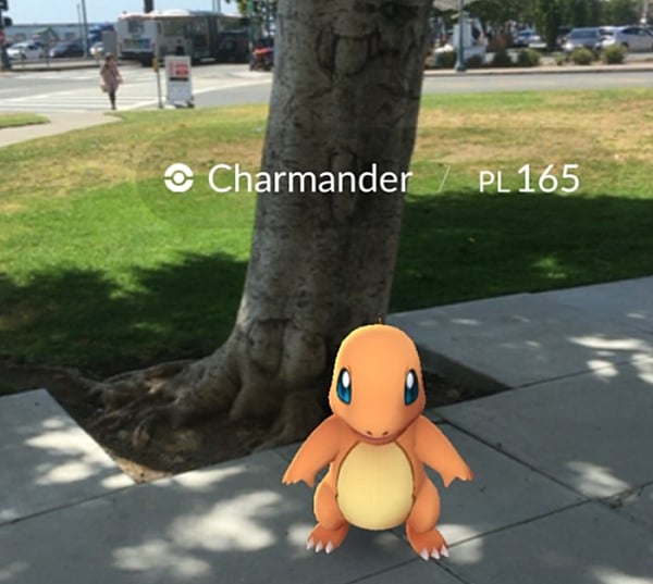 What Is Pokemon Go?