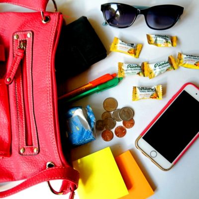 Fall Purse Essentials