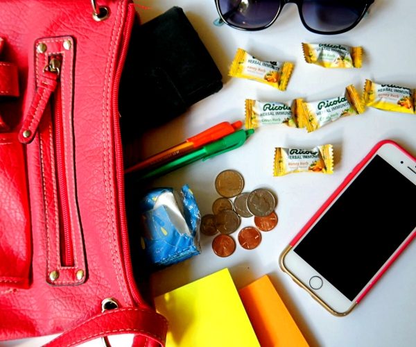 Fall Purse Essentials
