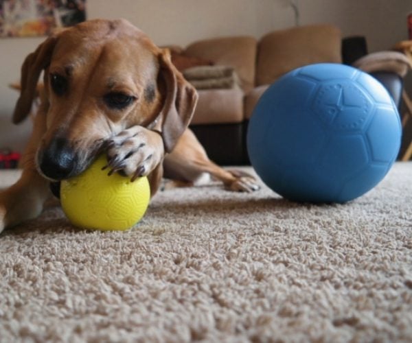 One World Play Project Indestructible Dog Ball
