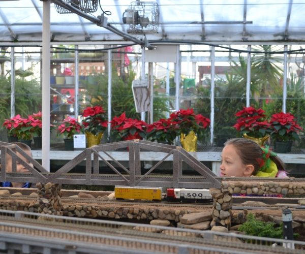 Puritas Nursery Holiday Train Display